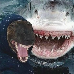 Кирилл Прудников, 06.12.1987, Москва