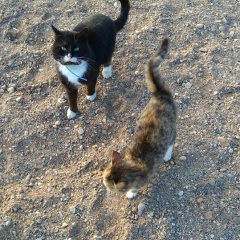 Александр Курганов, 04.01, Москва