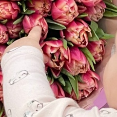 Тамила Тами, 05.11, Грозный