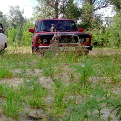 Васёк Иващенко, 25.06.1992, Глобино