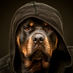 Александр Бугаев, 04.10, Алматы