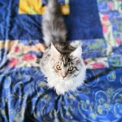 Наталия Краузе, 08.05