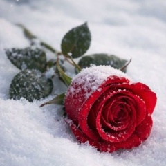 Марина Демидова, 24.01, Тверь