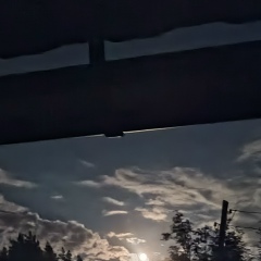 Дмитрий Рой, 07.03, Екатеринбург