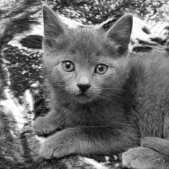 Андрей Байков, 01.06