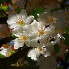 Inna Zaiceva, 01.05, Киев