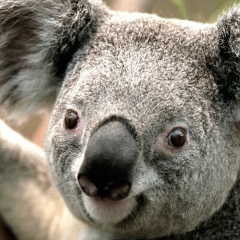 Дмитрий Кибенко, 25.12