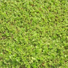 Данил Котов, 06.06