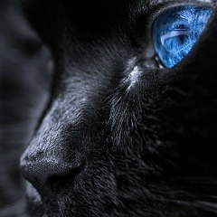 Наталія Сидун, 10.04.1985