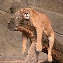 Иван Иванов, 20.09.1985, Днепр (Днепропетровск)