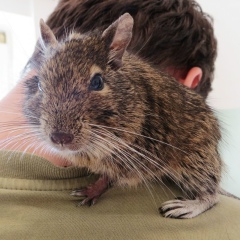 Артем Бондарев, 16.03.1989, Саратов