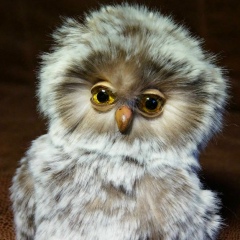 Надежда Шумилова, 24.12, Черкассы