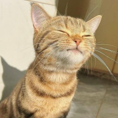 Николай Лынов, 17.08.1984, Лангепас