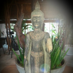 Юля Карташова, 31.01, Москва