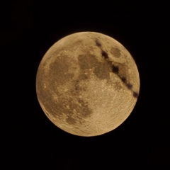 Жанибек Алимханов