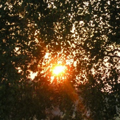 Надежда Самодова, Архангельск