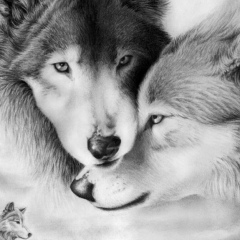 Шамиль Алиев, 28.02, Antalya