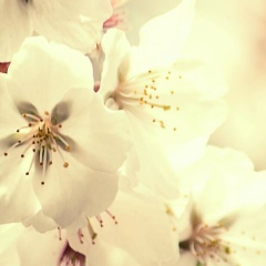 Динара Берлибекова, 03.04.1992, Алматы