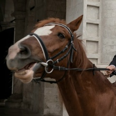 Степан Игнатьев, 28.06.1991, Москва