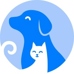 Дамир Рахимкулов, 21.01, Москва