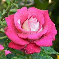 Наталья Ларцева, 02.03, Санкт-Петербург