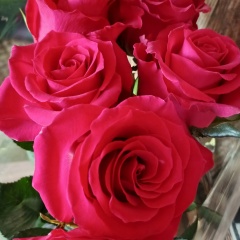 Светлана Еперова, Тоншаево