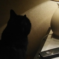 Александр Арсентьев, 06.12