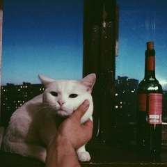 Elshad Gadjiev, 14.12, Актау