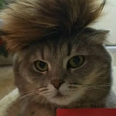 Мирон Зуев, 20.04, Узген