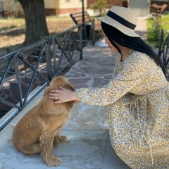 Молдир Сайлау, 12.12, Шымкент