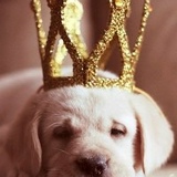 Руслан Галузинский, 16.07, Югорск