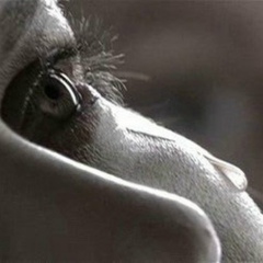 Стихи О-Любви, 23.08.1990, Воронеж