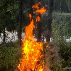Сергей Александрович, 15.02.1979, Палласовка