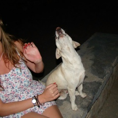 Елена Иванова, Москва