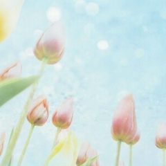 Марияна Максимова, 17.12.1985, Якутск