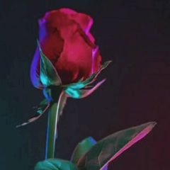 Shuhrat Ahmedjanov, 23.06.1901, Санкт-Петербург