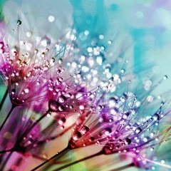 Katrin Морачевская, Санкт-Петербург