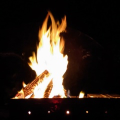 Евгений Тарасенко, 12.08.1988, Москва