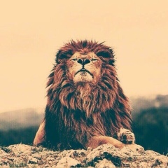 Ramazan Baraev, 17.12.1997, New York City