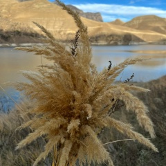 Ami Shogenova, 02.12, Нальчик