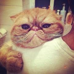 Milana Khamidova, Москва