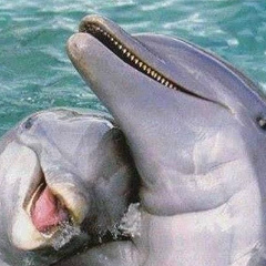 Перизат Жаликулова, 21.12.1985, Кызыл-Кия