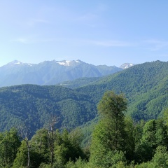 Анна Журавлева, Москва