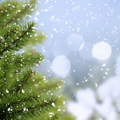 Дарья Мальцева, Санкт-Петербург