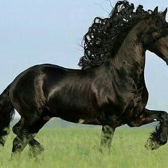 Сакен Куанышов, 13.10.1979