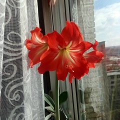 Анна Сечко, 07.12, Гродно