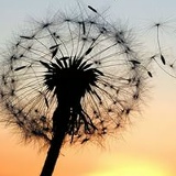 Инна Крышня, 07.09, Золотоноша