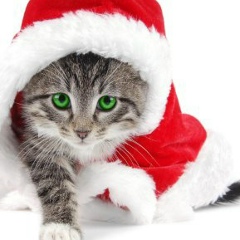 Юлия Мельникова, 24.01, Санкт-Петербург