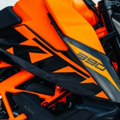 Lev Alex, 14.08.1982, Санкт-Петербург