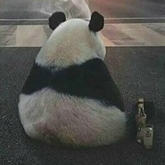 Дмитрий Рыбаков, 06.05.1992, Тюмень